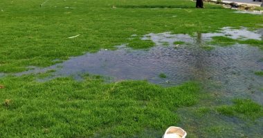 رئيس جهاز أكتوبر: غمر الحدائق بالمياه لمنع استغلالها فى شم النسيم