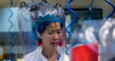تايمز: "بات وومان" عالمة فيروسات تطارد الخفافيش فى كهوف الصين