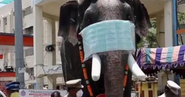 فيل يرتدى "كمامة" لتوعية السكان من عدوى كورونا فى الهند.. فيديو