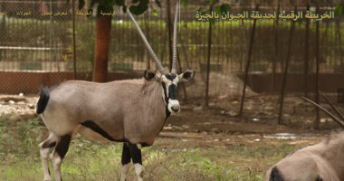 مكتبة الإسكندرية تعرض مقتنيات حديقة حيوان الجيزة إلكترونيا.. صور