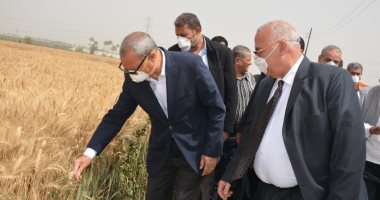 محافظ القليوبية يشارك حصاد القمح بأحد الحقول بمنشأة بنها.. صور 