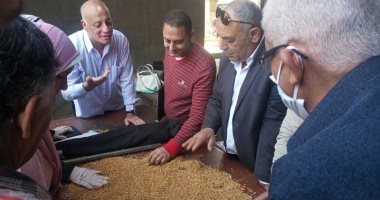 فيديو وصور .. صوامع الغربية تستقبل القمح من المزارعين فى طنطا 