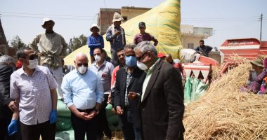 محافظ بورسعيد: توريد 4 آلاف طن قمح من المزراعين للصوامع والمطاحن