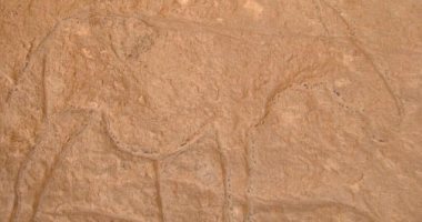 اكتشاف 60 كهفا من العصر الحجرى القديم بوسط الصين