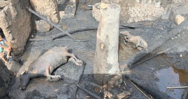 صور ..ماس كهربائى يحرق 3 بيوت بجزيرة بسوهاج يصعب وصول المطافى لها