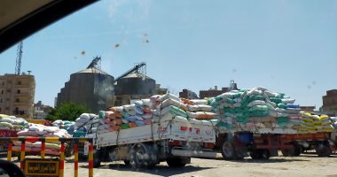 صور.. تكدس سيارات النقل أمام صومعة طنطا لتوريد محصول القمح