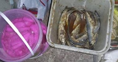 تحرير 139 محضر تموينى وإعدام مواد غذائية وأسماك مملحة فاسدة بسوهاج 