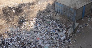شكوى من انتشار القمامة بشارع الترعة بمنطقة باسوس