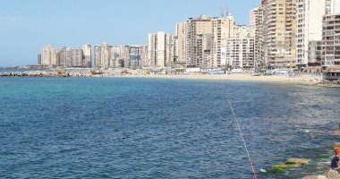 الطبيعة تتنفس على شواطئ الإسكندرية بعد شهر من الإغلاق بسبب كورونا.. فيديو