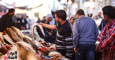 إقبال المواطنين على سوق السمك بالمنيب تاسع أيام رمضان 