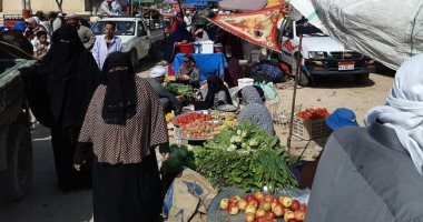 حملات مكثفة لفض تجمعات الآسواق وإزالة إشغالات الطريق بأحياء الإسكندرية