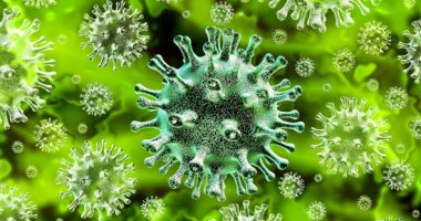 الصحة الفرنسية: 135 وفاة جديدة بفيروس كورونا ليرتفع إجمالى إلى 24895