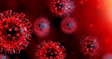 ورلد ميترز: حصيلة إصابات فيروس كورونا حول العالم تتخطى الـ 5 ملايين