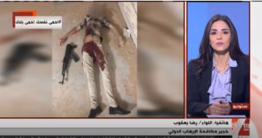 خبير: القائم بأعمال مرشد الإخوان العقل المدبر للعمليات الإرهابية بمصر