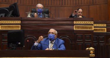  "خطة البرلمان": العالم كله يقدم الخدمة مقابل التكلفة والأمر فى مصر غير واضح   