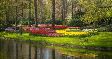 7 ملايين زهرة فى حديقة الربيع الأكثر جمالا فى العالم بهولندا.. صور 
