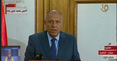 وزير الخارجية: الدولة تعمل على عودة المصريين العالقين بالخارج فى أسرع وقت