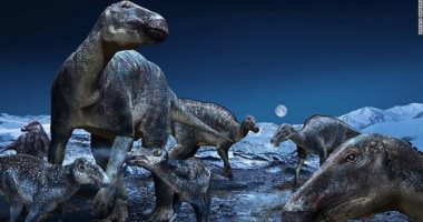 اكتشاف ديناصور عمره 150 مليون عام وطوله 20 مترا