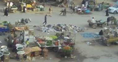 سكان منطقة كفر الباشا بالمرج يشكون من سوق عشوائى على الطريق