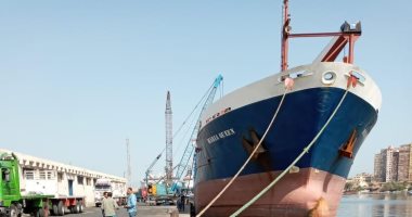 ميناء الإسكندرية: تصدير 13 ألف طن بضائع عامة عبر الميناء آخر 24 ساعة
