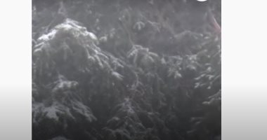 فيديو.. عاصفة ثلجية تصدم سكان ألمانيا قبل أسابيع من بدء فصل الصيف