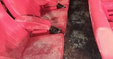 "العفن" يكسو قاعات السينما ومتاجر الجلود فى ماليزيا بعد إغلاق شهرين.. صور