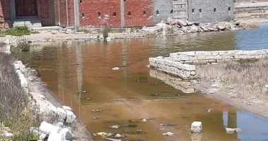 شكوى من غرق قرية الحماد مركز بلطيم بكفر الشيخ فى الصرف الصحى