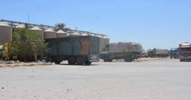 محافظ المنيا: توريد 200 ألف طن من القمح للصوامع والشون