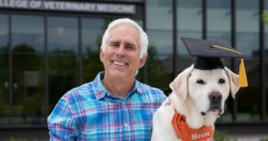 كلب يحصل على الدكتوراة الفخرية فى الطب البيطرى بفرجينيا الأمريكية.. صور