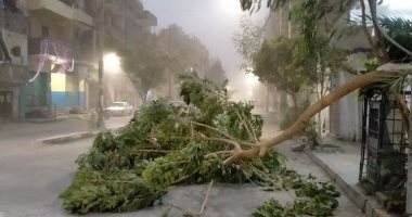 شاهد آثار عاصفة ترابية شديدة ضربت محافظة الأقصر فى 15 صورة