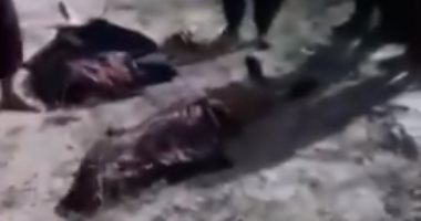 انتشال جثث أفغان غارقين فى نهر هريرود على يد حرس الحدود الإيرانى .. فيديو
