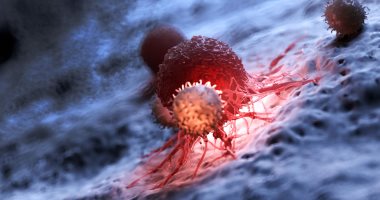 الخلايا التائية خط دفاع المناعة فى حرب كورونا.. تقتل الخلايا المصابة وتحفز أخرى لمحاربة الفيروس.. خلايا B تصنع أجسام مضادة تتعرف على الفيروس إذا أصاب الجسم مرة أخرى.. نزلة برد سابقة قد تُكسبك مناعة 