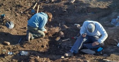 صور.. العثور على حفرية لآخر ديناصور مفترس على الكوكب فى الأرجنتين