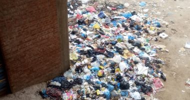 قارئ يشكو من الذباب والناموس فى منطقة العوايد بالإسكندرية بسبب القمامة