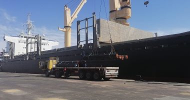 نشاط فى حركة السفن والبضائع والشاحنات ومعدلات الشحن والتفريغ بميناء الإسكندرية 