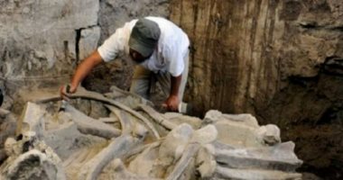 يحفرون لبناء مطار.. العثور على مقابر للماموث والبشر عمرها 14 ألف عام بالمكسيك
