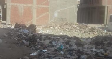 صور.. حملة مكبرة لرفع تراكمات القمامة بطول شارع الترعة بالمحلة