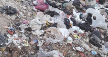 قارئ يشكو انتشار القمامة  بقرية زاوية  بالبدرشين  فى الجيزة
