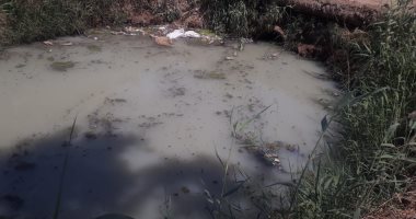 قارئ يشكو من سوء الصرف الصحى بمدينة سرس الليان بالمنوفية