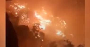إيران.. النيران تلتهم مئات الهكتارات فى غابات جبال زاغروس.. فيديو 