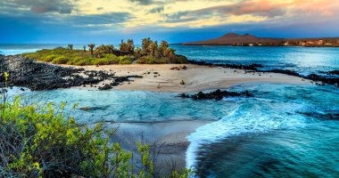جزر جالاباجوس تعود لفتح أبوابها أمام حركة السياحة بعد شهور من التوقف