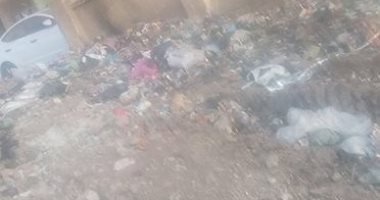 قارئة تناشد الوحدة المحلية برفع تراكمات القمامة فى قرية بوهة بالمنوفية