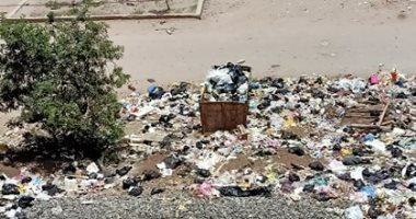 قارئ يناشد وضع صناديق لجمع القمامة فى عزبة الزينى بالدقهلية