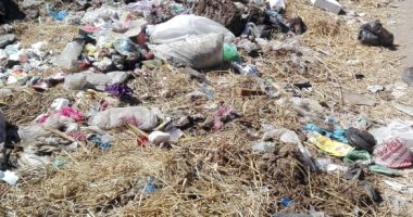 شكوى من انتشار القمامة بقرية محلة منوف محافظة الغربية