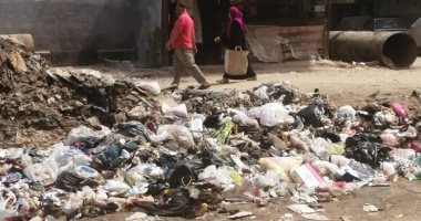 شكوى من انتشار القمامة والكلاب الضالة أمام مركز شباب السواح بالأميرية