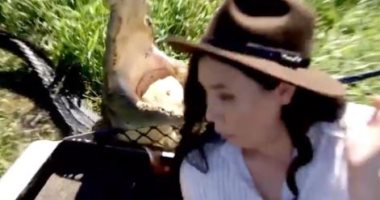شاهد هجوم تمساح على مذيعة أسترالية أثناء التقاطها صورة تذكارية.. فيديو