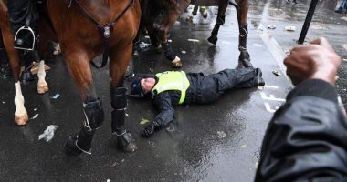 فيديو.. حصان تابع لشرطة لندن يدهس متظاهرا ضد العنصرية بداونينج ستريت