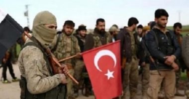 لجنة أممية: تركيا أرسلت نحو 15000 مرتزق إلى ليبيا