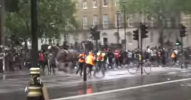حصان بوليسى يهرب من ساحة الاحتجاجات فى لندن.. فيديو