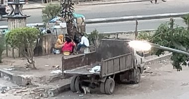 سكان منيل الروضة يطالبون بإعادة رصف الطرق وتقليم الأشجار العالية